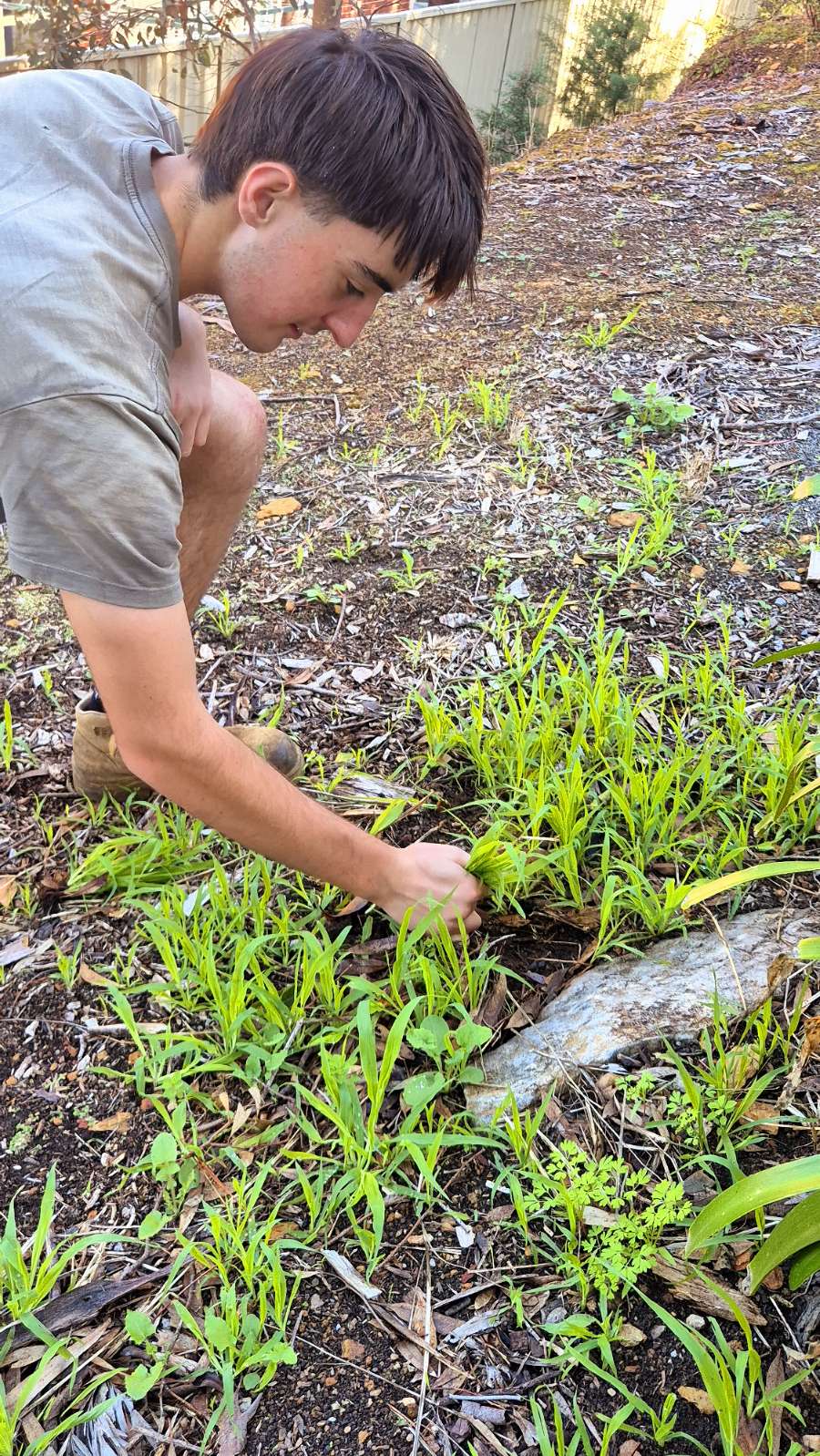 Garden Revival