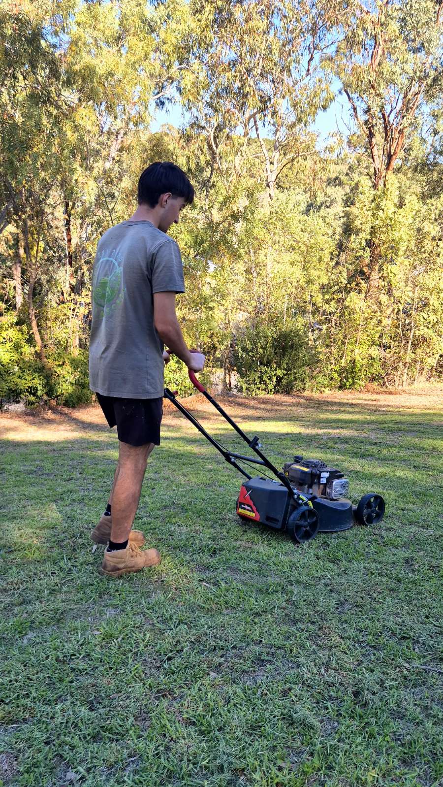 Mowing & Edging