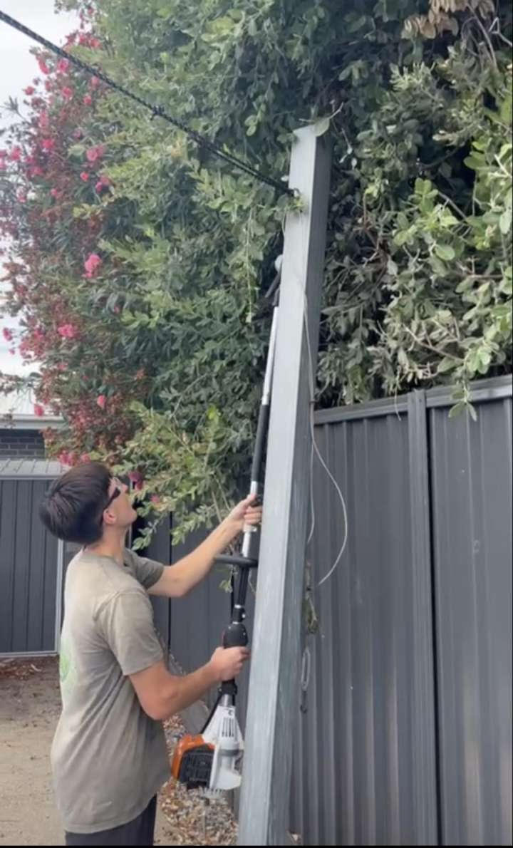 Hedge Trimming & Whipper Snipping